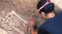 Excavating a grave