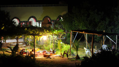 Grapes hang, illuminated, from a trellis in the courtyard of a local family's residence. Courtyard trellis